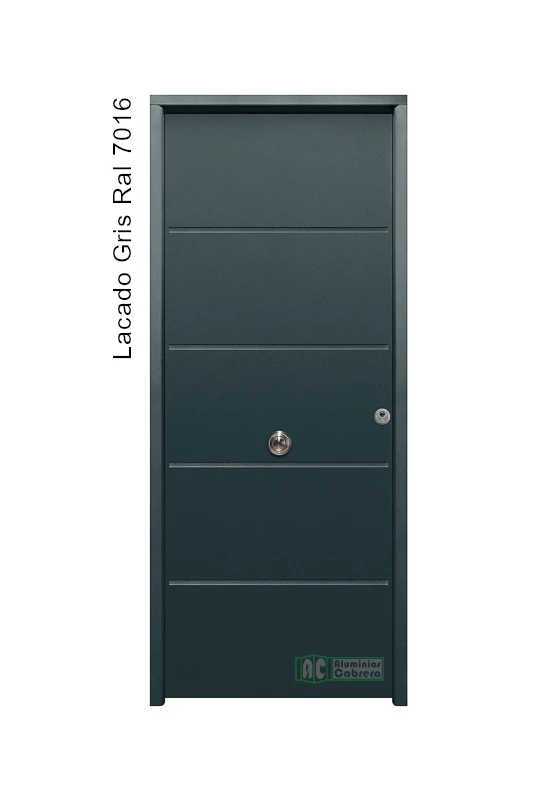 saga-100-modelo-cintia-color-ral7016